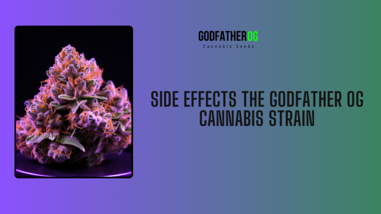 Side Effects of Godfather Cannabis Strains