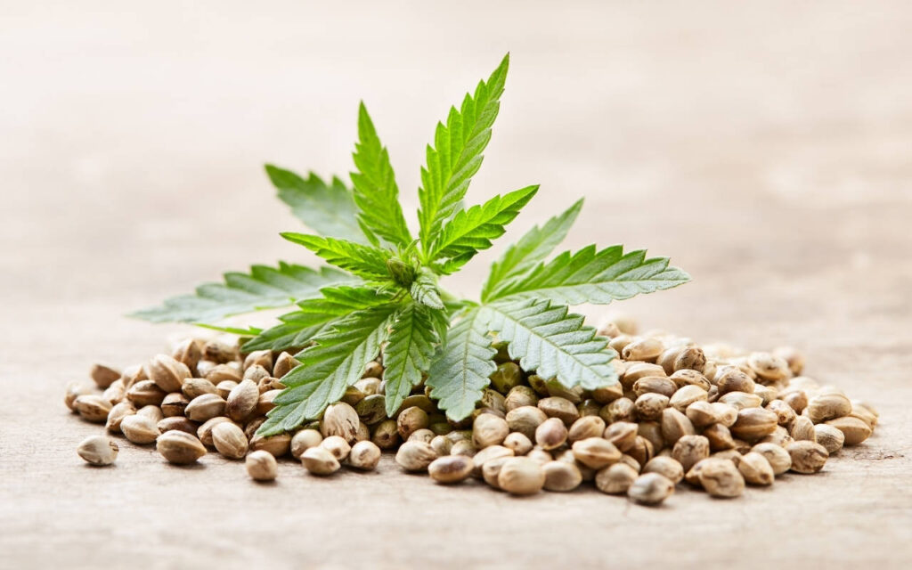 Benefits of godfatherog