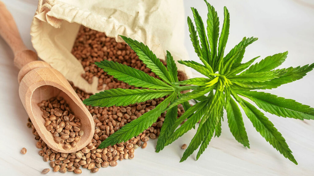 Indoor and outdoor cannabis