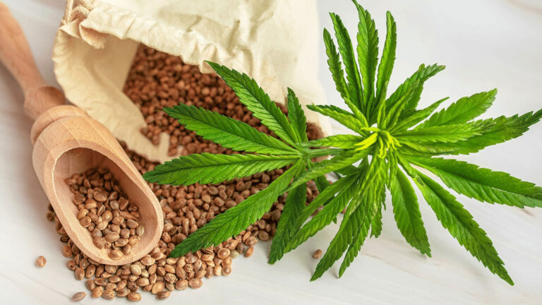 Indoor and outdoor cannabis