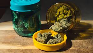 Godfather OG Strain Genetics