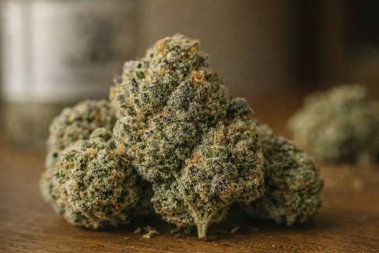 Godfather OG THC Content
